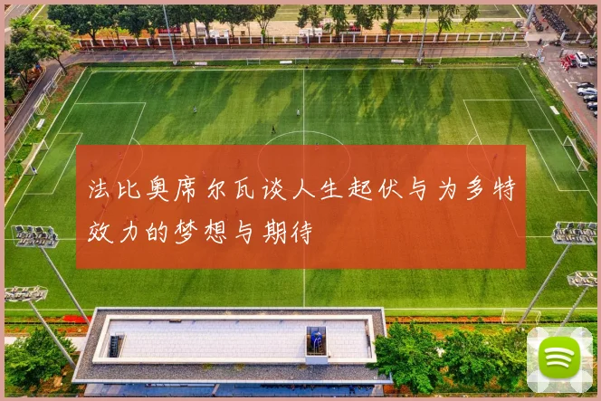 法比奥席尔瓦谈人生起伏与为多特效力的梦想与期待