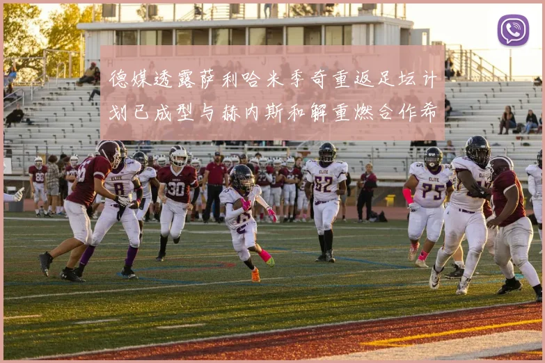 德媒透露萨利哈米季奇重返足坛计划已成型与赫内斯和解重燃合作希望